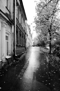 _DSC7084.webp