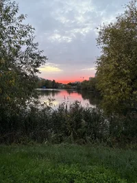 IMG_20261013_231335_890.webp