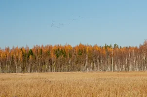 _DSC5893.webp