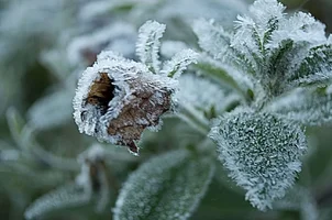 _DSC9156.webp