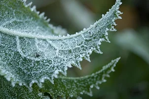 _DSC9165.webp
