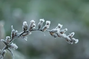 _DSC9177.webp
