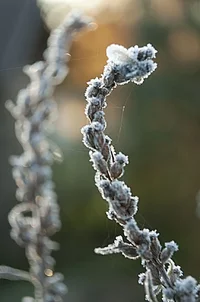 _DSC9205.webp