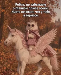 c2ef7d467b0c32fc88d7b1cda6b0369c.webp
