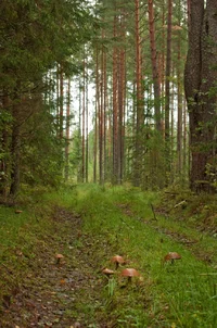 _DSC6124.webp