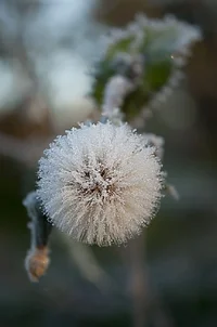 _DSC9211.webp