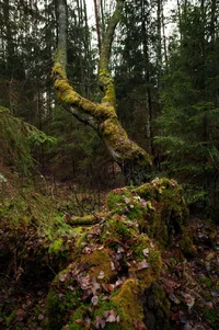 _DSC6865-.webp