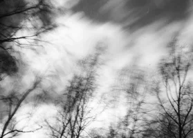 _DSC4946.webp