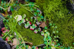 IMG_4243-Edit.webp