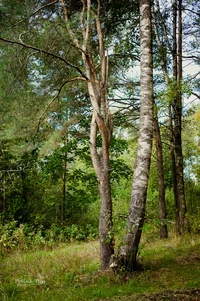 IMG_4256-Edit.webp