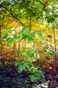 IMG_4260-Edit-Edit.webp