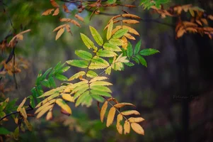 IMG_4543-Edit.webp