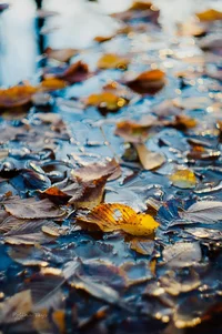 IMG_4834-Edit.webp