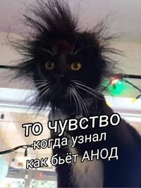 images (9).webp images (9).webp