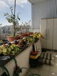 IMG_20260330_151901 (1).webp