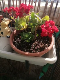 IMG_20260330_152242 (1).webp