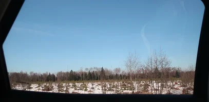 IMG_4142-хор-еловый дет сад.webp