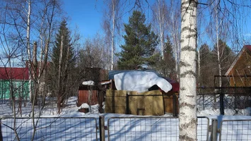 IMG_4156-хор-снеж одеяло.webp