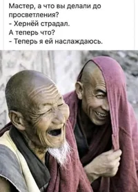 мастер и фигня.webp