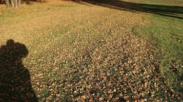 моя тень01.webp