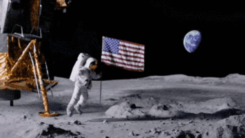 moon-flag.gif