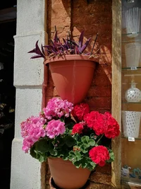 IMG-20220510-WA0077 (1).webp