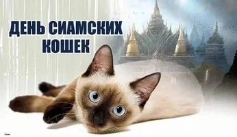 IMG_7917.webp IMG_7917.webp