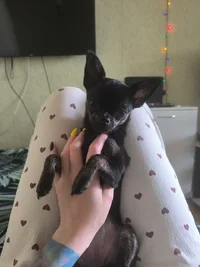 photo_2026-02-05_09-37-21 (2).webp