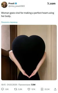 серд.webp серд.webp