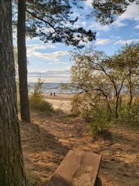 20241006_163524.webp 20241006_163524.webp