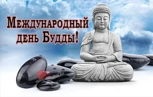 IMG_7960.webp IMG_7960.webp