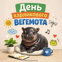 IMG_7961.webp IMG_7961.webp