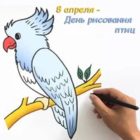 IMG_7966.webp IMG_7966.webp