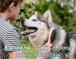 IMG_7968.webp IMG_7968.webp