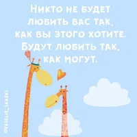 48503.webp