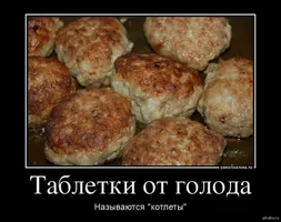 6jksp2rn.webp