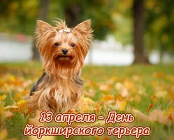 IMG_8041.webp