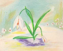 подснежники мои.webp