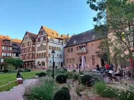 20230924_183142.webp 20230924_183142.webp