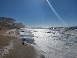 20230928_161905.webp 20230928_161905.webp