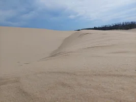 20230927_160811.webp 20230927_160811.webp