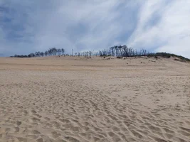 20230927_155623.webp 20230927_155623.webp