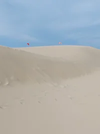 20230927_165943.webp 20230927_165943.webp