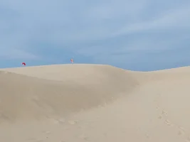 20230927_165947.webp 20230927_165947.webp