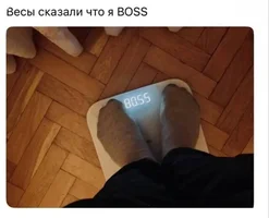 4svqrpm5.webp