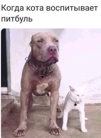 enhfk4ny.webp