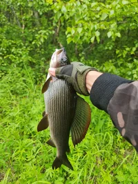 IMG-20250707-WA0018.webp