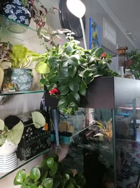 IMG_20260416_114245.webp
