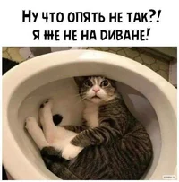 pfux2egc.webp