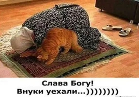 4779.webp